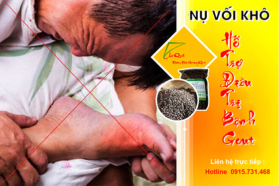 NỤ VỐI HỖ TRỢ ĐIỀU TRỊ BỆNH GOUT